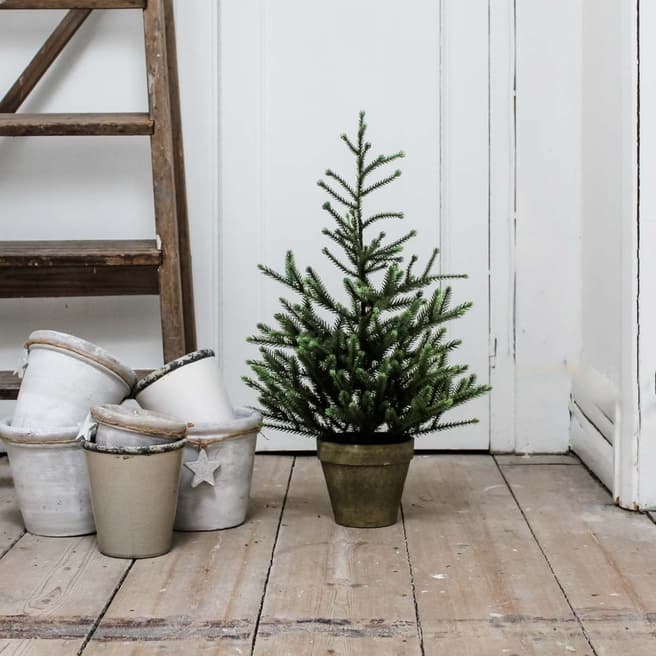 Angle Pine Potted Tree 60cm - BrandAlley