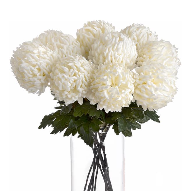 White Chrysanthemum Single Stem - BrandAlley