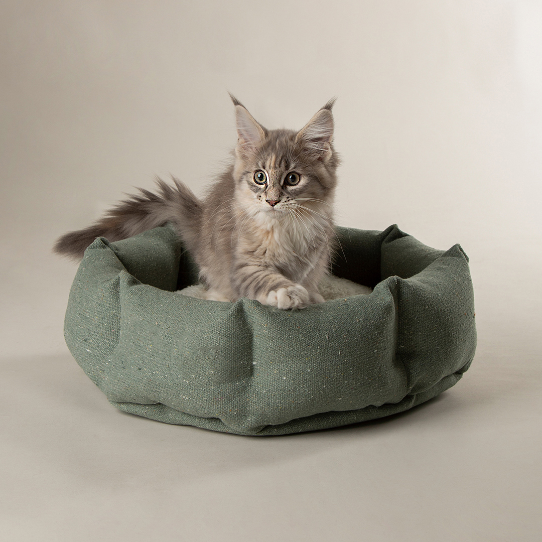 Green Eco Eden Cat Bed